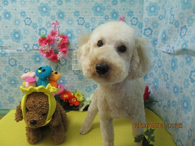 ファイル 6769-1.jpg