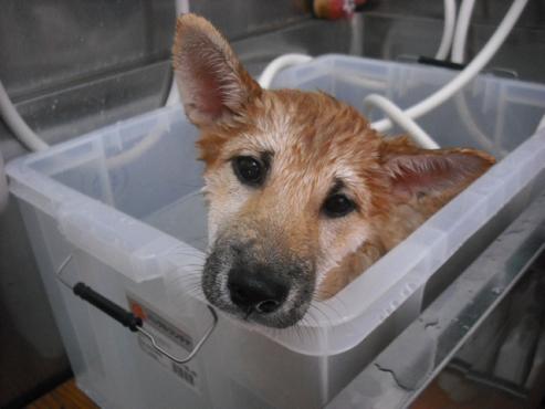 ファイル 677-2.jpg