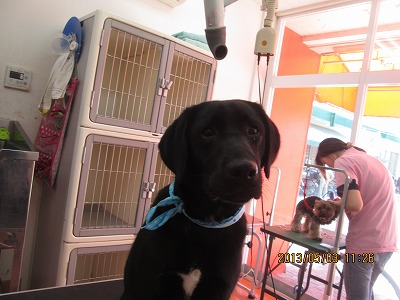 ファイル 6770-1.jpg