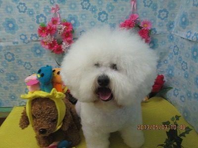 ファイル 6771-1.jpg