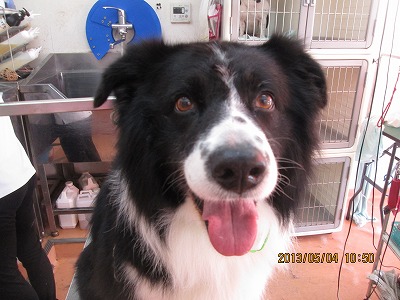 ファイル 6772-1.jpg