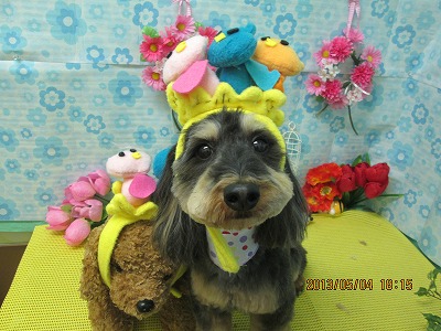 ファイル 6773-1.jpg