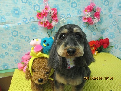 ファイル 6773-2.jpg