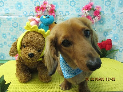 ファイル 6775-2.jpg