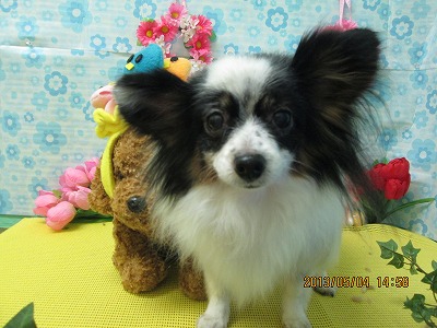 ファイル 6776-2.jpg