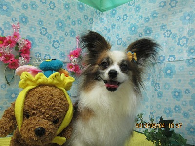 ファイル 6777-1.jpg