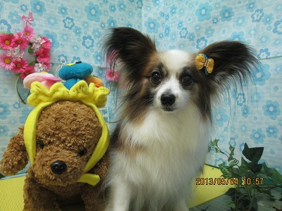 ファイル 6777-2.jpg