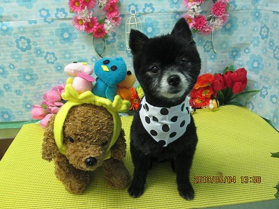 ファイル 6778-2.jpg