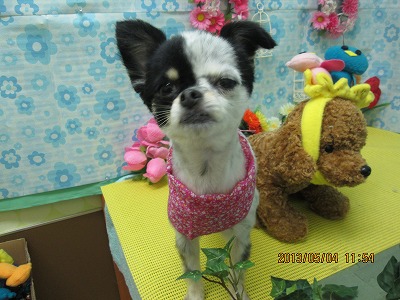 ファイル 6779-2.jpg