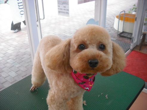 ファイル 678-1.jpg