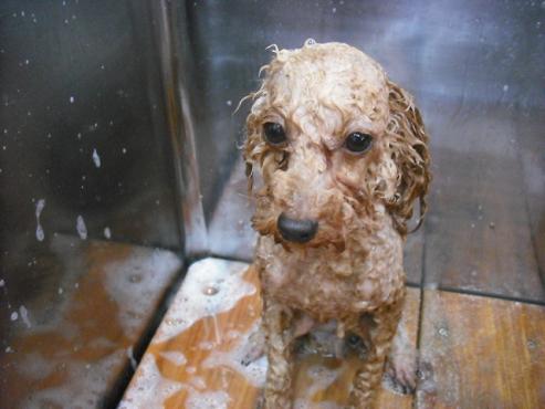 ファイル 678-2.jpg