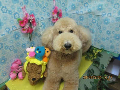 ファイル 6780-2.jpg