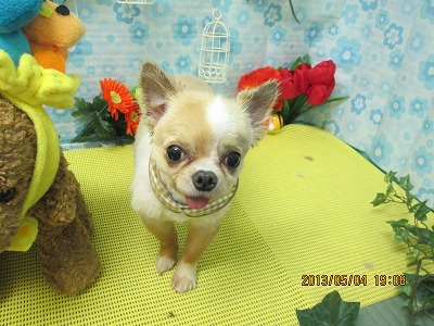 ファイル 6781-2.jpg