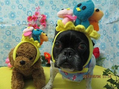 ファイル 6783-1.jpg