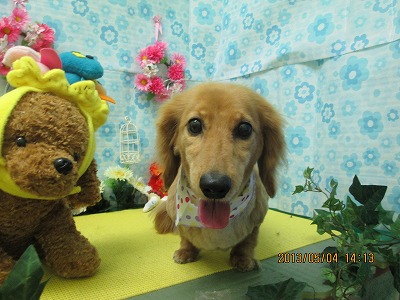 ファイル 6784-2.jpg