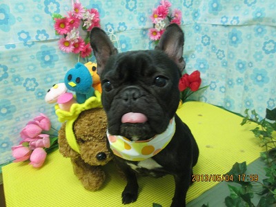 ファイル 6785-2.jpg