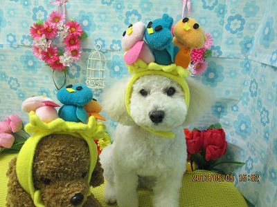 ファイル 6786-1.jpg