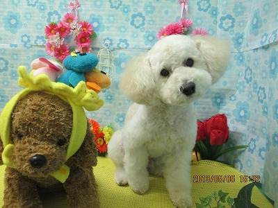 ファイル 6786-2.jpg