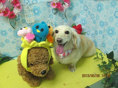 ファイル 6787-1.jpg