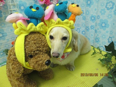 ファイル 6787-2.jpg