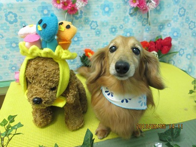 ファイル 6788-1.jpg