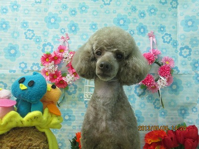 ファイル 6789-1.jpg