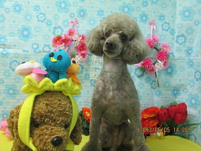 ファイル 6789-2.jpg