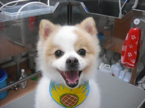 ファイル 679-1.jpg