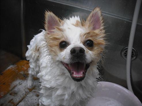 ファイル 679-2.jpg