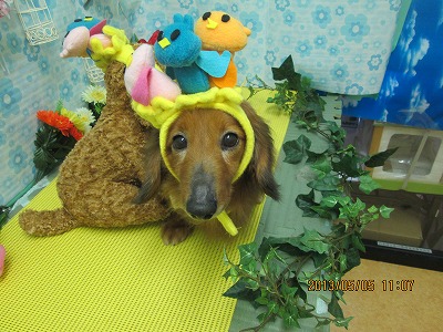 ファイル 6790-1.jpg