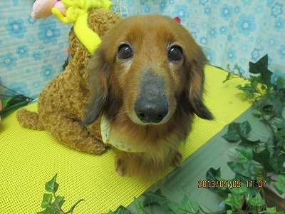 ファイル 6790-2.jpg