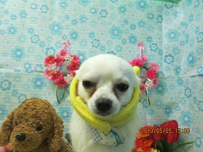 ファイル 6791-1.jpg