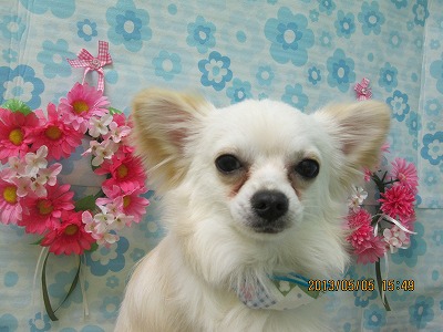 ファイル 6791-2.jpg