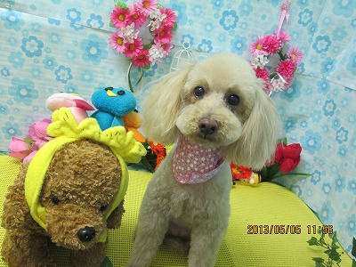 ファイル 6792-1.jpg