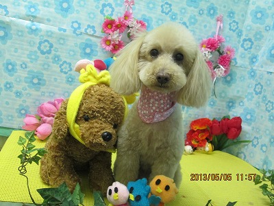 ファイル 6792-2.jpg