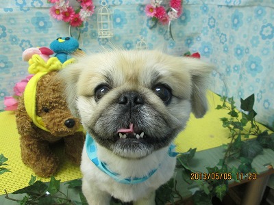 ファイル 6793-1.jpg