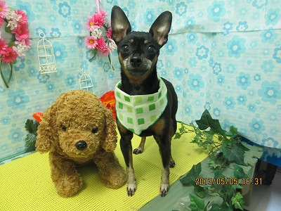 ファイル 6794-1.jpg