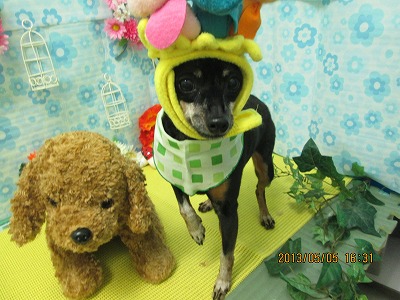 ファイル 6794-2.jpg