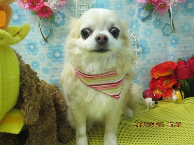 ファイル 6795-2.jpg