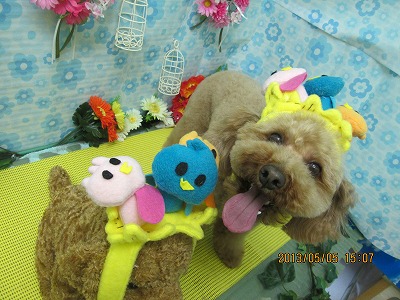 ファイル 6797-1.jpg