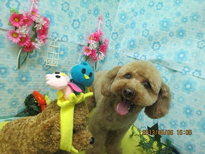 ファイル 6797-2.jpg