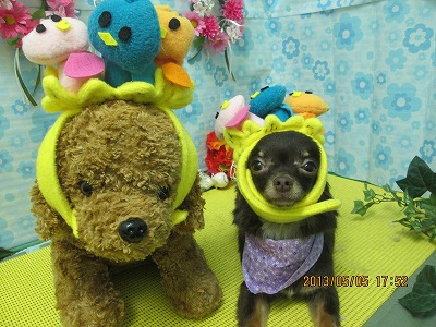 ファイル 6798-2.jpg