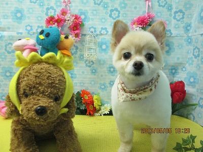 ファイル 6799-1.jpg