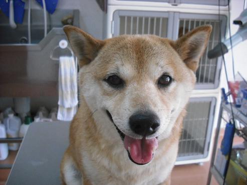 ファイル 68-1.jpg