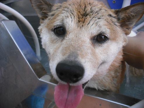 ファイル 68-2.jpg