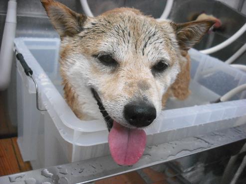 ファイル 680-2.jpg