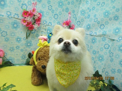 ファイル 6800-2.jpg