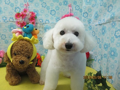 ファイル 6802-2.jpg