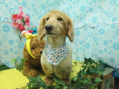 ファイル 6804-2.jpg