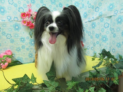 ファイル 6805-2.jpg